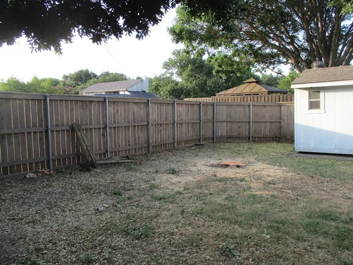 Cleared yard after professional tree removal in Milltown